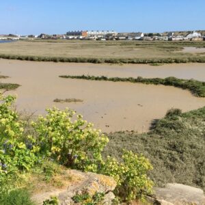 The Lower Adur SSSI
