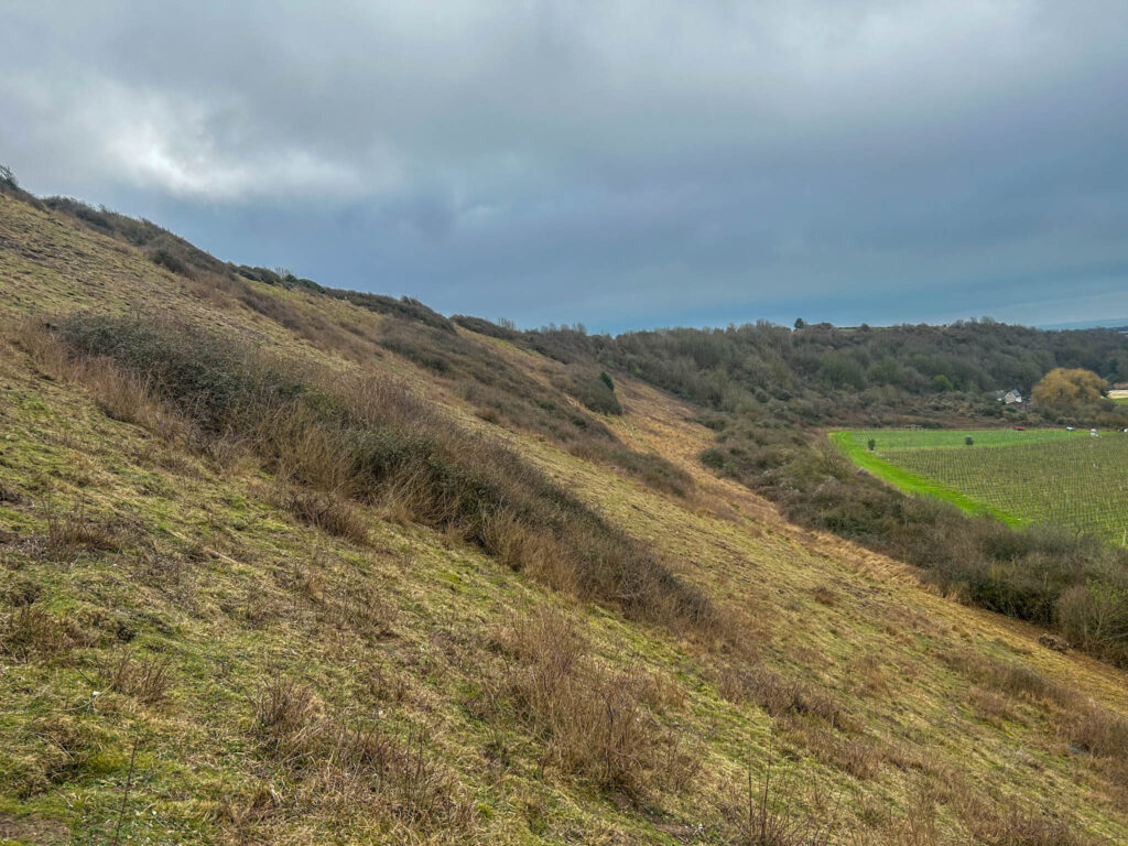 Mill Hill