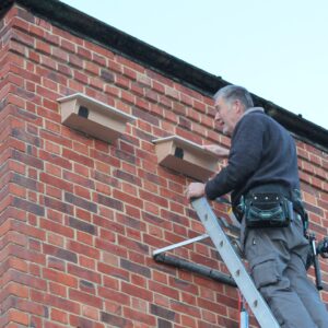 Swift Group Prepare Boxes For Spring Visitors