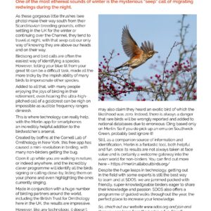 Merlin App In The Spotlight