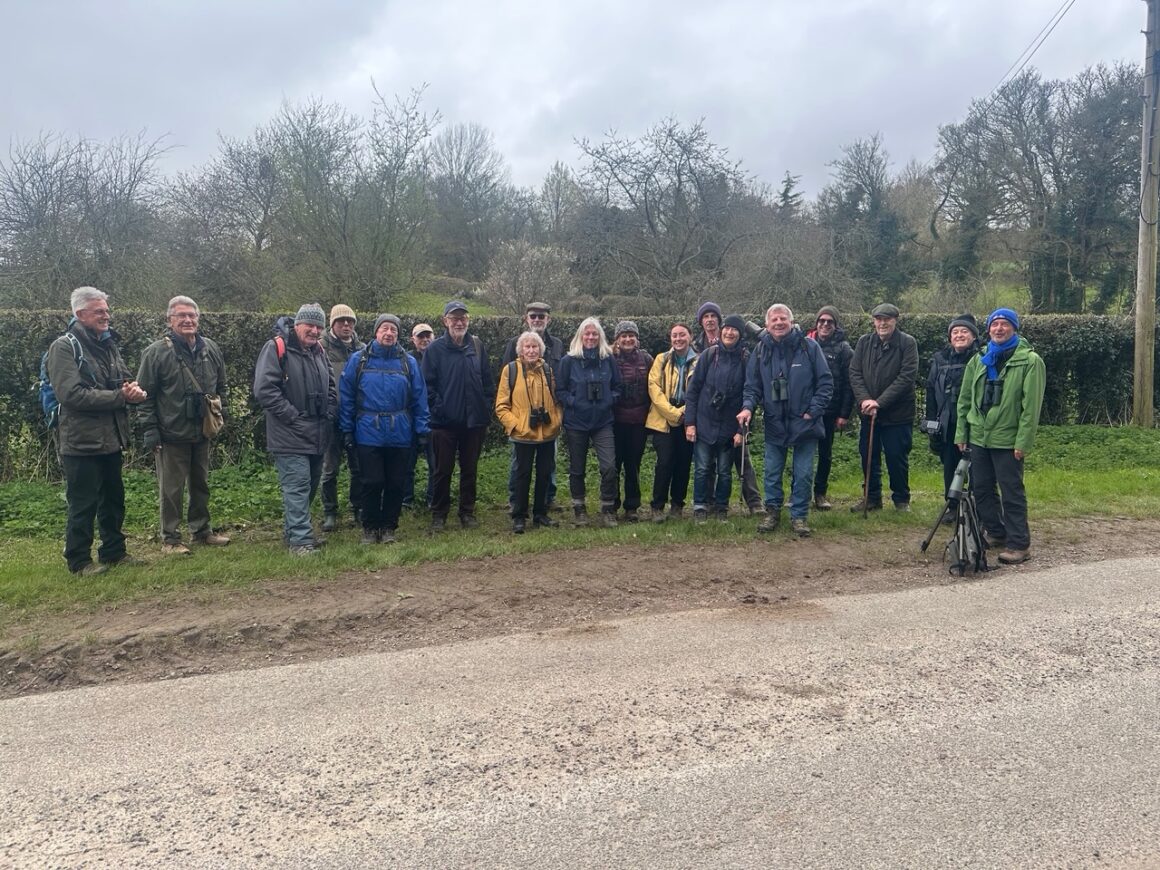 Goshawks Star In SDOS Walk At West Dean