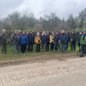 Goshawks Star In SDOS Walk At West Dean