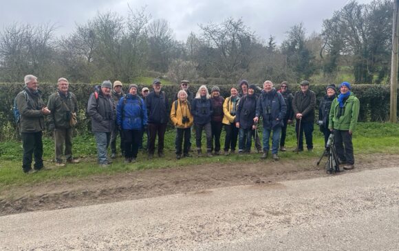 Goshawks Star In SDOS Walk At West Dean
