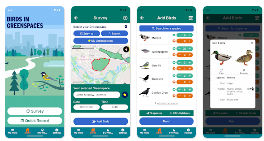 BTO Launches Birds In Greenspaces Project
