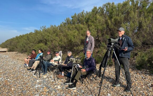 Arctic Skuas Star At SDOS Ferring Seawatch