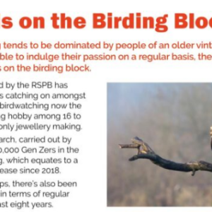 Screenshot 2026-07-05 134712 New Kids on the Birding Block