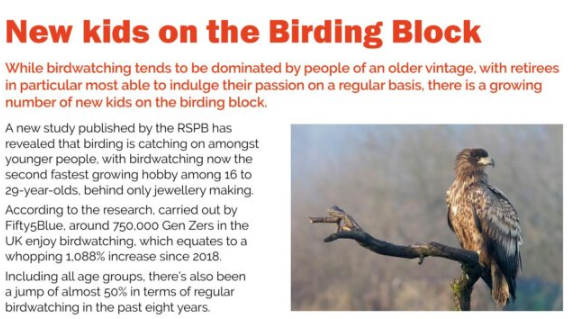 Screenshot 2026-07-05 134712 New Kids on the Birding Block