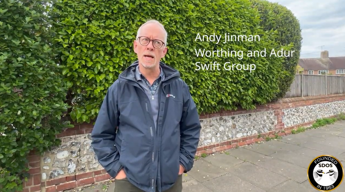 Screenshot 2026-07-05 134221 Worthing & Adur Swift Group Celebrate Summer Work
