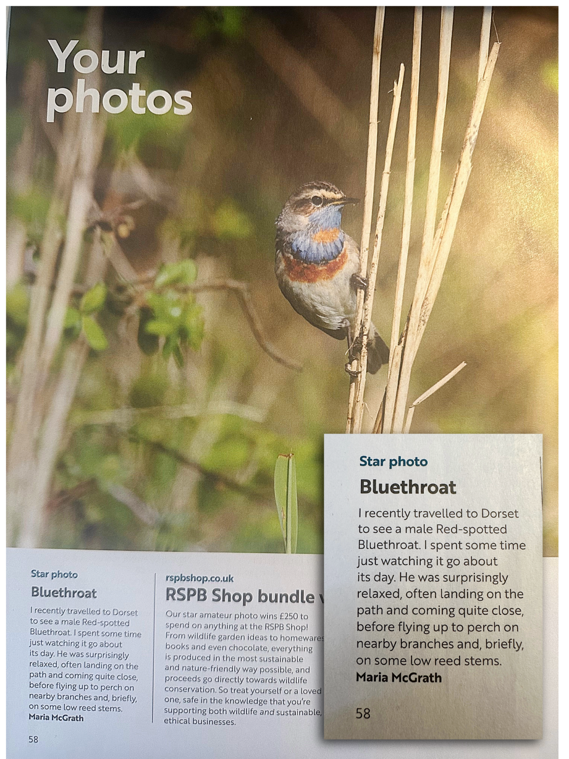 SDOS Member Bags Star Photo Award In RSPB Magazine