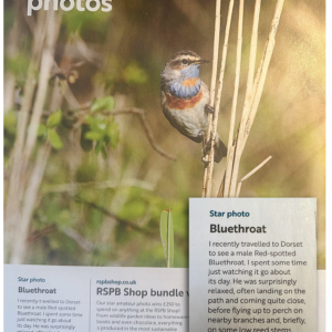 Untitled - 06 July 2026 at 19.36.35 SDOS Member Bags Star Photo Award In RSPB Magazine