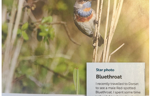 SDOS Member Bags Star Photo Award In RSPB Magazine