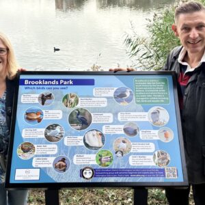 Positive Signs For SDOS At Brooklands