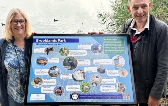 1a Positive Signs For SDOS At Brooklands