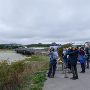 SDOS Lead 24 Birders On Productive Adur Walk