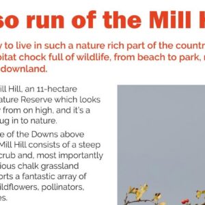 Mill Hill3 Inside Shoreham and Southwick Magazine – A Not So Run Of The Mill Hill